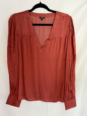 Express Rust Satin V-Neck Long Sleeve Blouse